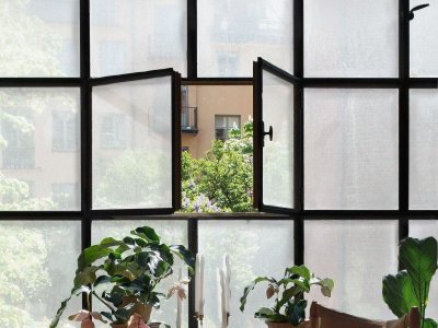 Die Fensterfolie Squid® als Stilelement und Sichtschutz an kleinen Mosaikfenster.