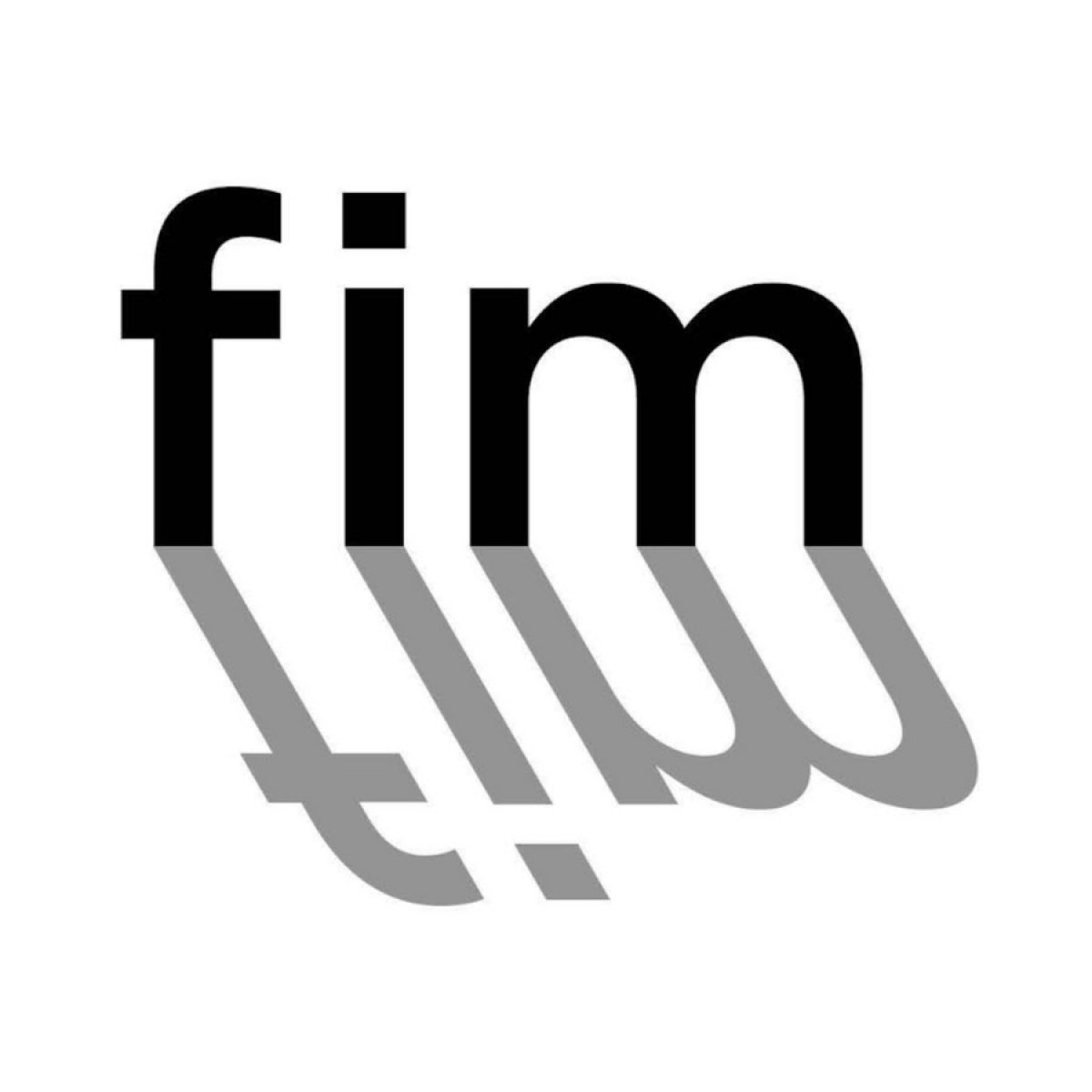 FIM S.r.l. Logo